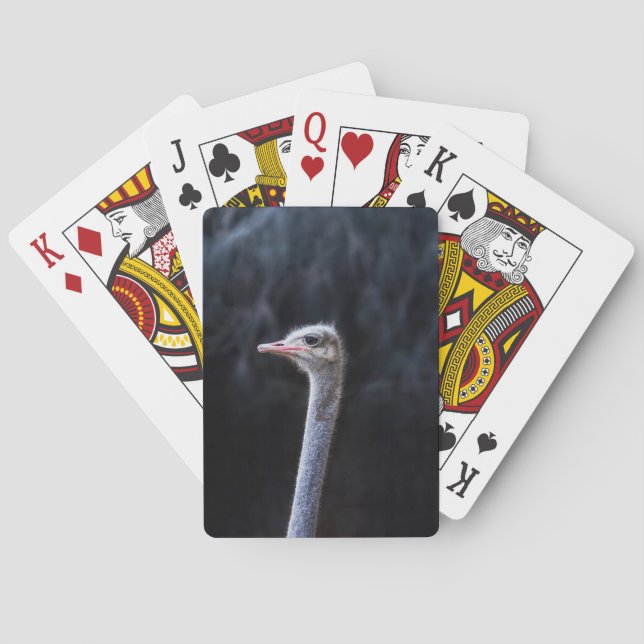 Baraja De Cartas Fotografía de avestruz (Reverso)