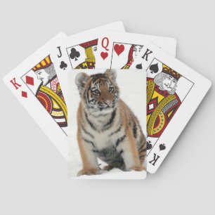Baraja De Cartas Fotografía de cachorro de tigre en la nieve