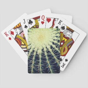 Baraja De Cartas Fotografía de Cactus