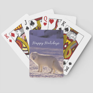 Baraja De Cartas Fotografía de invierno de la nieve de Fox blanca