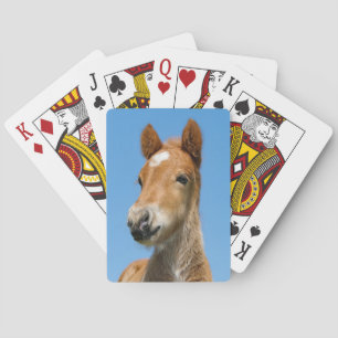 Baraja De Cartas Fotografía de la cabeza delantera de los novios is