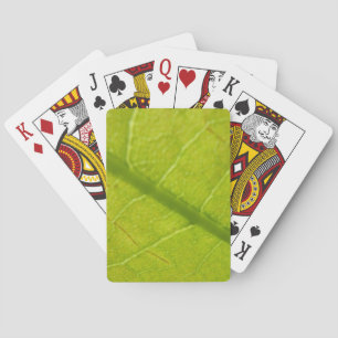 Baraja De Cartas Fotografía de la naturaleza botánica de la hoja ve