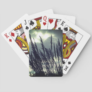 Baraja De Cartas Fotografía de la naturaleza del silencio