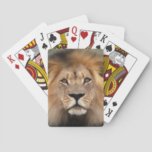 Baraja De Cartas Fotografía de León