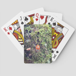 Baraja De Cartas Fotografía de mariquita en musgo