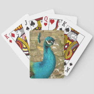 Baraja De Cartas Fotografía de Naturaleza Hermosa Pavo Real