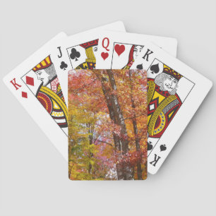 Baraja De Cartas Fotografía de otoño de árboles caídos naranjas y a