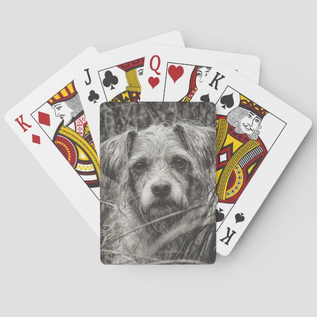 Baraja De Cartas Fotografía de retrato blanco y negro de cachorro s (Reverso)