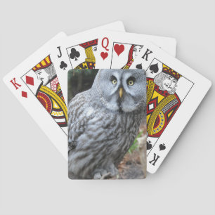 Baraja De Cartas Fotografía de retrato de búho