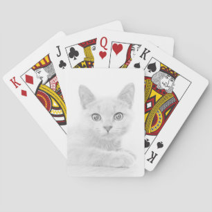 Baraja De Cartas Fotografía de retrato de gatito SUPER CUTE