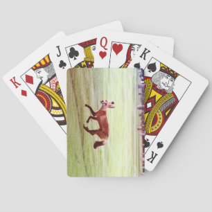 Baraja De Cartas fotografía de zorro rojo en ejecución