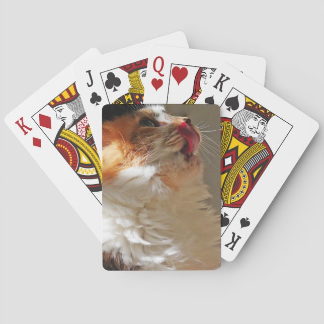 Baraja De Cartas Fotografía encantadora de un gato lindo (Reverso)