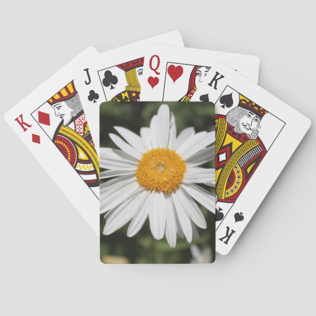Baraja De Cartas fotografía popular de flor, bonito de margarita bl (Reverso)