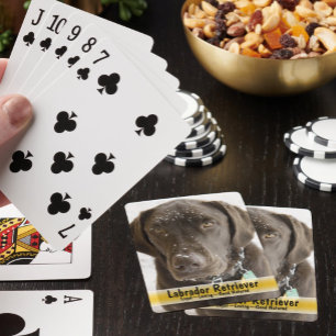 Baraja De Cartas Fotografía reemplazable por el perro de chocolate
