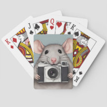 Fotógrafo de Cute Rat