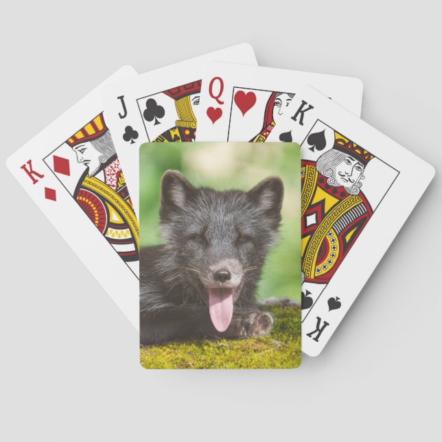 Baraja De Cartas Fox del Ártico (Reverso)