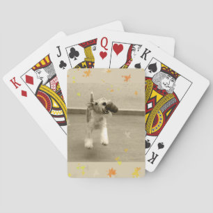 Baraja De Cartas Fox terrier del alambre del jengibre