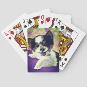 Baraja De Cartas Foxy's Happy Dog Face