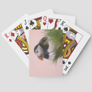 Baraja De Cartas Frailecillo atlántico (Fratercula arctica)