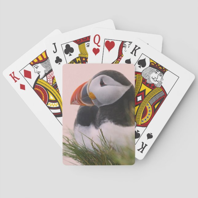 Baraja De Cartas Frailecillo atlántico (Fratercula arctica) (Reverso)