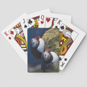 Baraja De Cartas Frailecillo atlántico (Fratercula arctica) 7