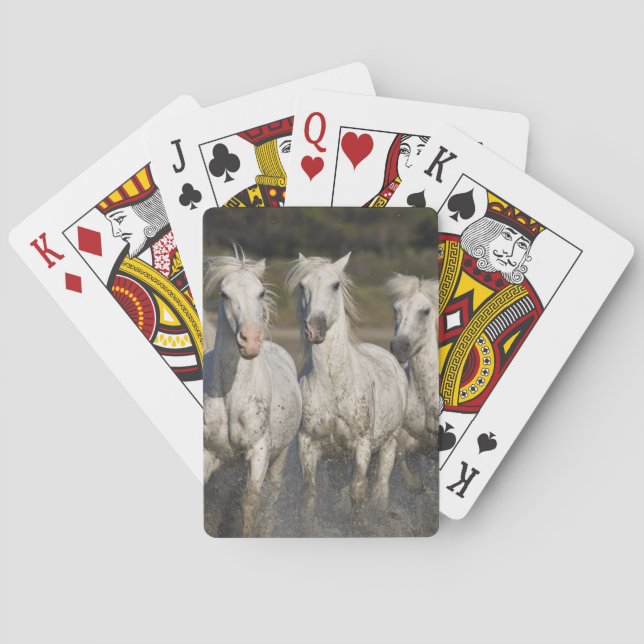 Baraja De Cartas Francia, Camargue. Caballos corren (Reverso)