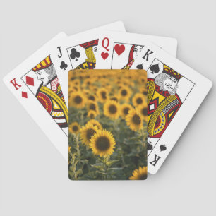 Baraja De Cartas Francia, Vaucluse, campo de girasoles