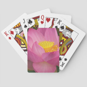 Baraja De Cartas Franklin NC, jardín de agua de Perry, Loto 2