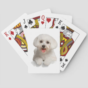 Baraja De Cartas Frijón de Bichon
