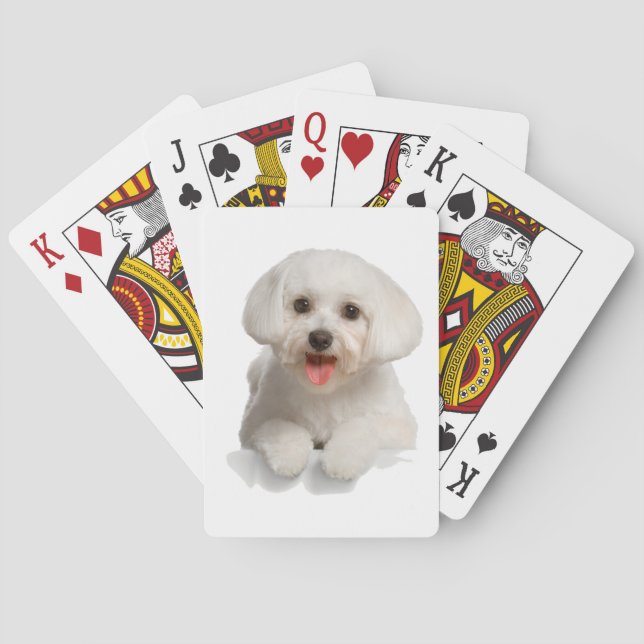 Baraja De Cartas Frijón de Bichon (Reverso)