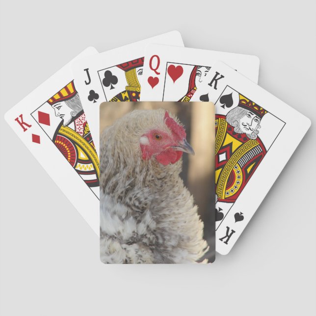 Baraja De Cartas Frizzle Rooster (Reverso)