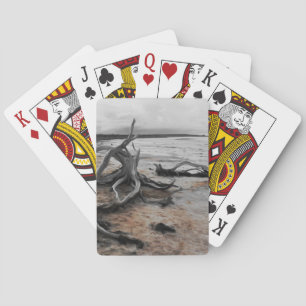 Baraja De Cartas Fuerzas Naturales del Lago Tyrrell