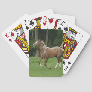 Baraja De Cartas Funcionamiento del caballo del Appaloosa