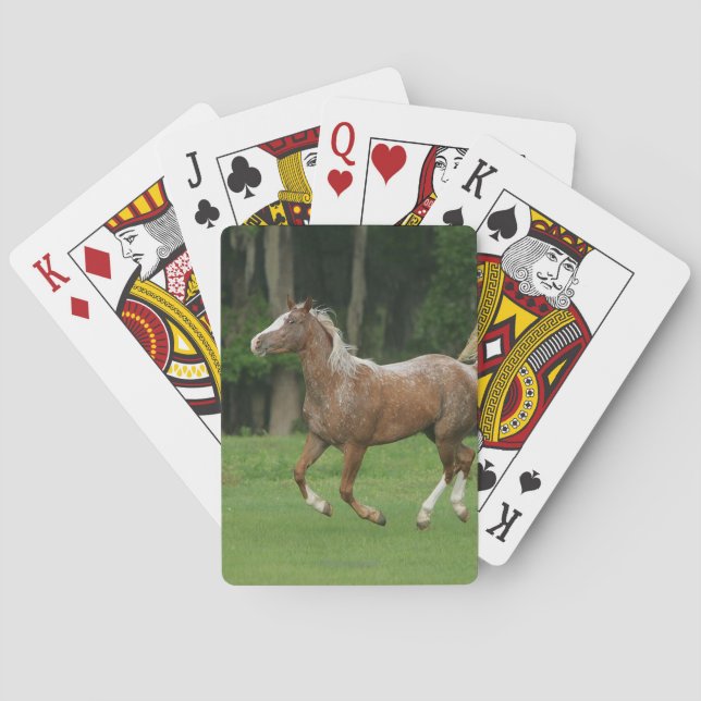 Baraja De Cartas Funcionamiento del caballo del Appaloosa (Reverso)
