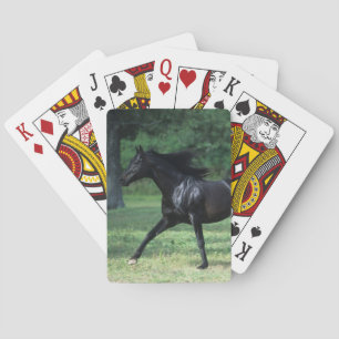 Baraja De Cartas Funcionamiento excelente