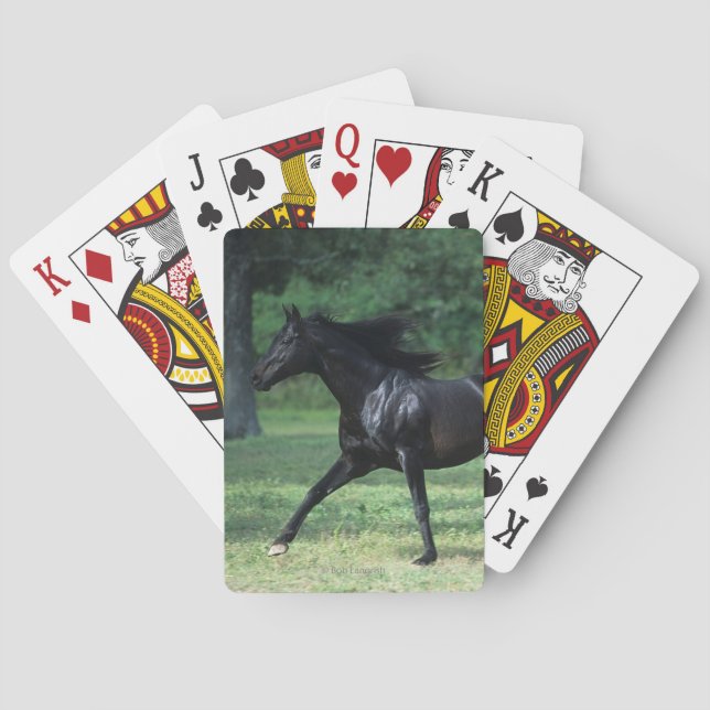 Baraja De Cartas Funcionamiento excelente (Reverso)