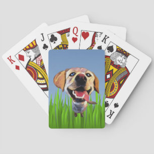 Baraja De Cartas Funny Personalizado Labrador Retriever Card Decks