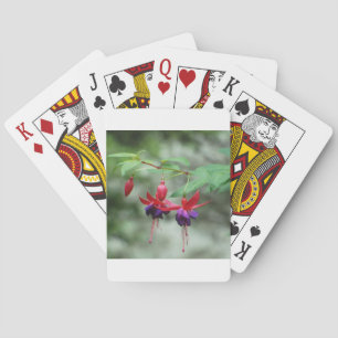 Baraja De Cartas Fuschia1A.jpg