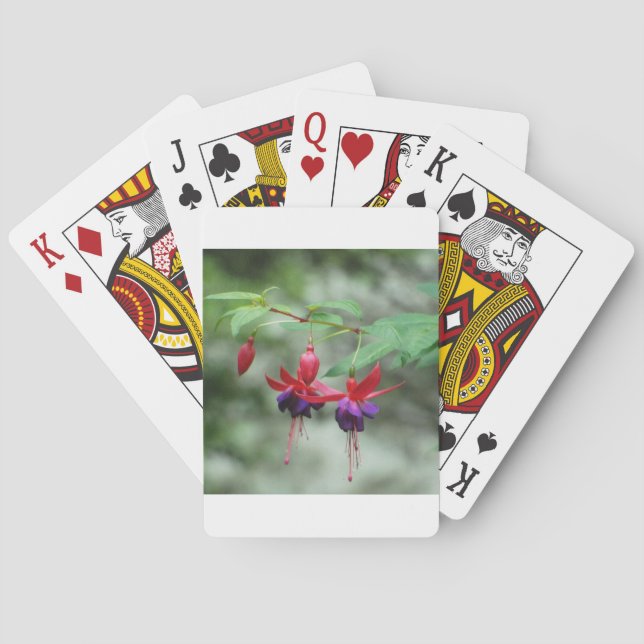 Baraja De Cartas Fuschia1A.jpg (Reverso)