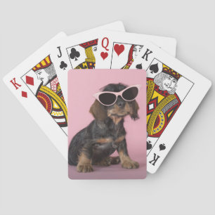 Baraja De Cartas Gafas de sol que llevan del perrito del Dachshund