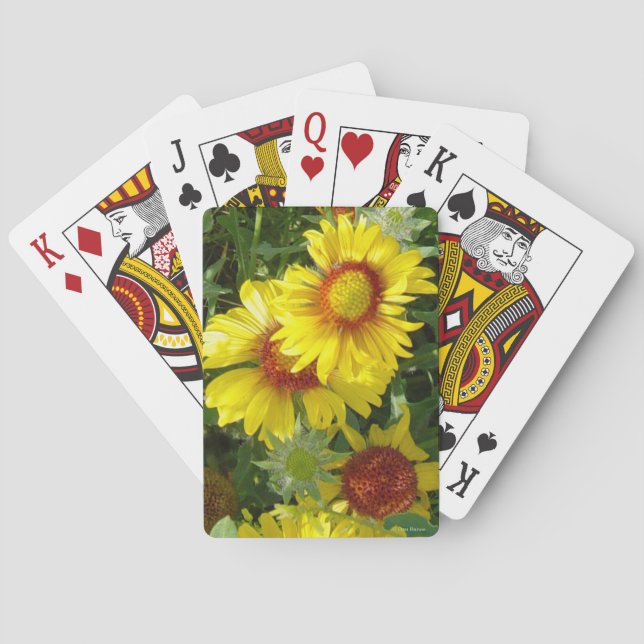 Baraja De Cartas Gaillardia amarillo de los Wildflowers F6 (Reverso)