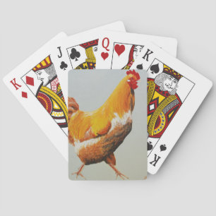 Baraja De Cartas Gallo