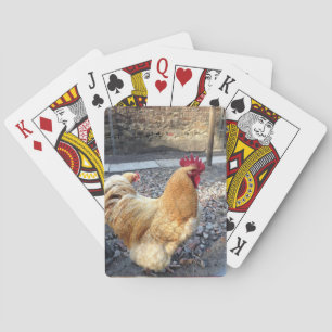 Baraja De Cartas Gallo