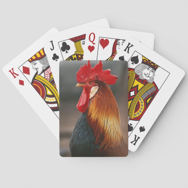 Baraja De Cartas Gallo Doméstico de Corral (Reverso)