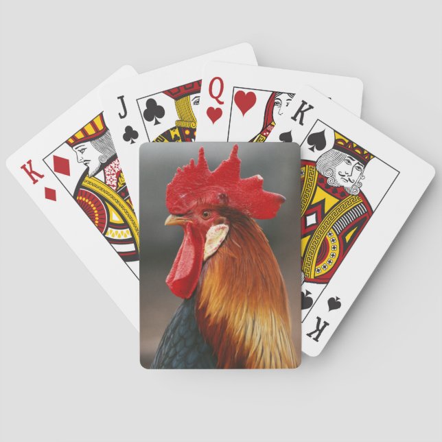 Baraja De Cartas Gallo Doméstico de Granja (Reverso)