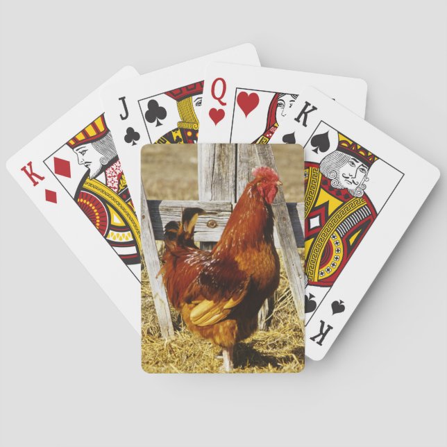 Baraja De Cartas Gallo rojo de Rhode Island (Reverso)