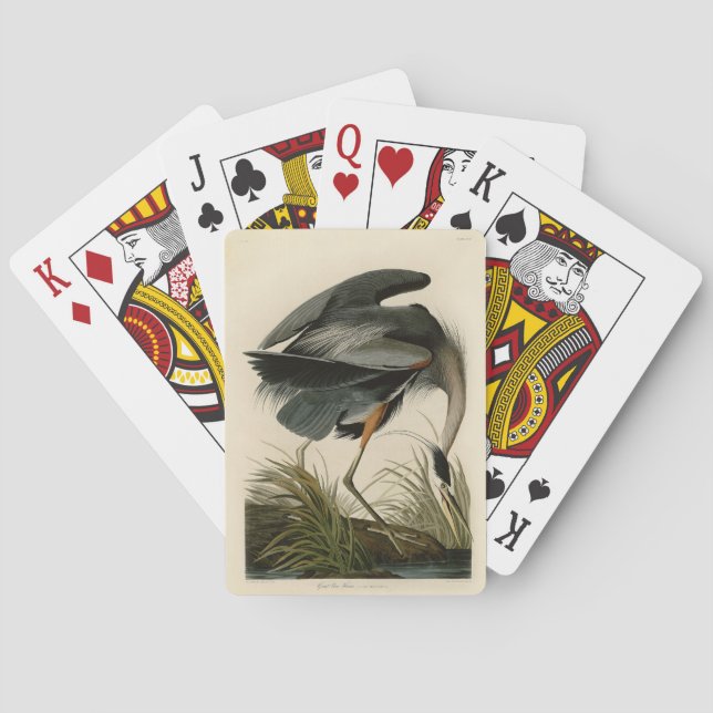 Baraja De Cartas Garza azul grande de Audubon Marsh Bird (Reverso)