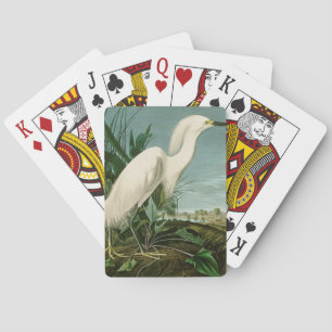 Baraja De Cartas Garza Blanca de Audubon Ave Birding