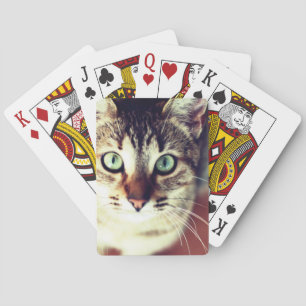Baraja De Cartas Gatito