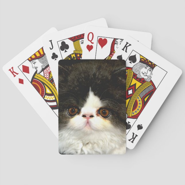 Baraja De Cartas Gatito blanco y negro (Reverso)